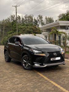 2018 Lexus NX300h